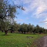 Villa Filia Family And Group Friendly Vacation *