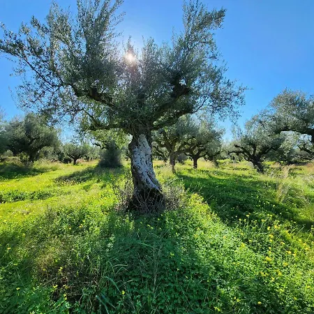 Filia Family And Group Friendly Vacation Filia (Trikala)