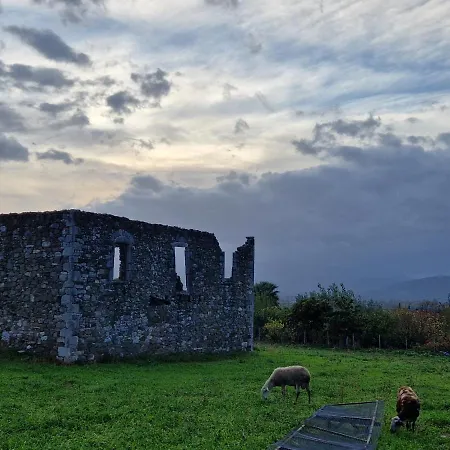 Filia Family And Group Friendly Vacation * Filia (Trikala)