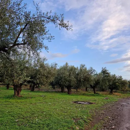 Villa Filia Family And Group Friendly Vacation *