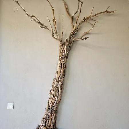 Filia Family And Group Friendly Vacation *