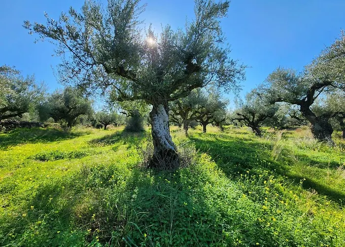 Filia Family And Group Friendly Vacation Filia (Trikala)