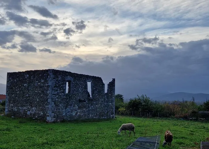 Filia Family And Group Friendly Vacation * Filia (Trikala)