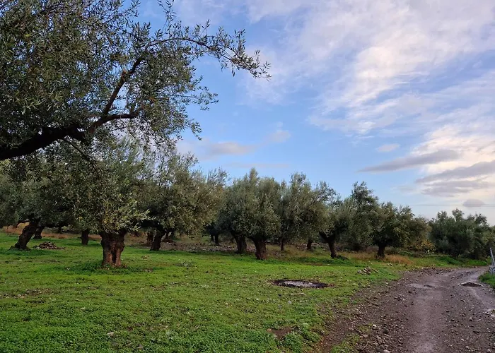 Villa Filia Family And Group Friendly Vacation *