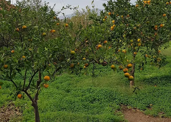 Filia Family And Group Friendly Vacation *